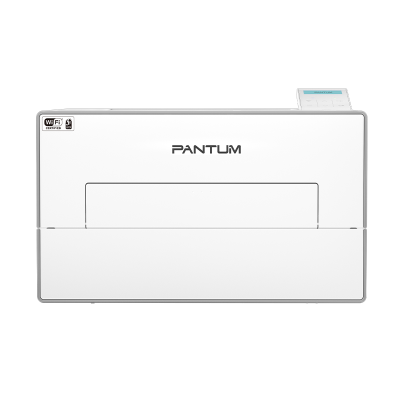 Pantum BP4200DW